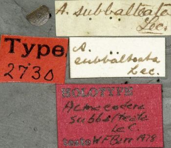 Media type: image;   Entomology 2730 Aspect: labels